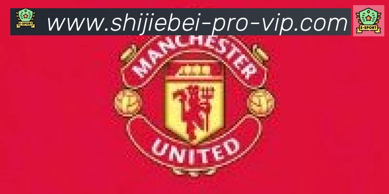 美加墨世界杯资讯官方网站合作伙伴